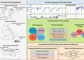 Is 1251 Right for You? Find Out with This Simple Breakdown!