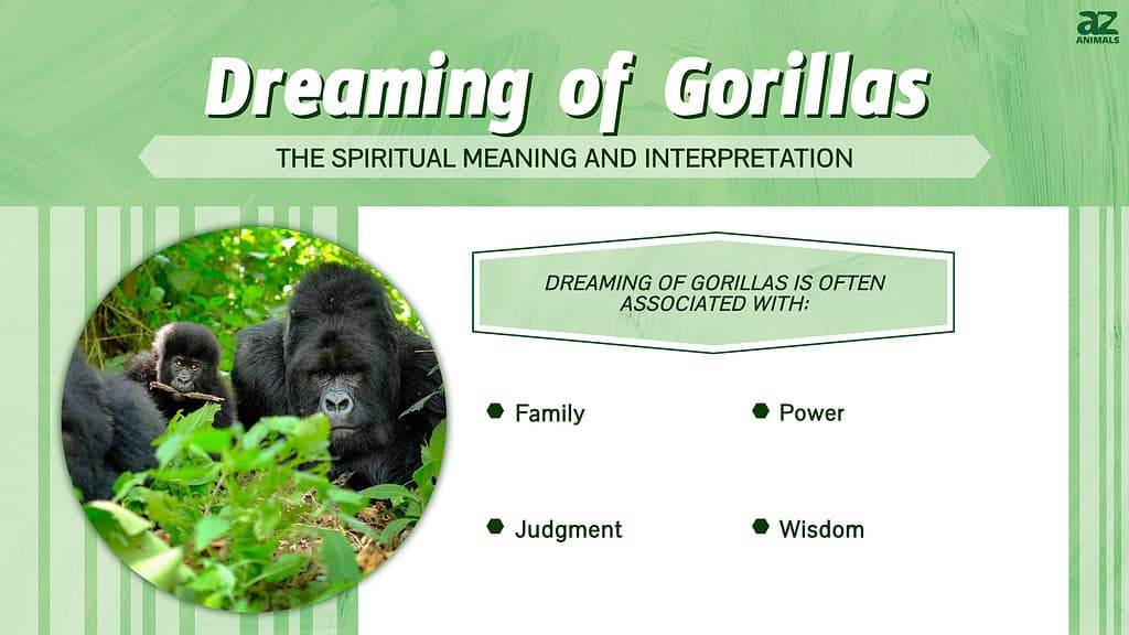 What Does the Gorilla Symbolize in Dreams and Culture Easy explain!