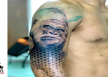 Gorilla Spiritual Meaning: What is the deeper symbolism for you?