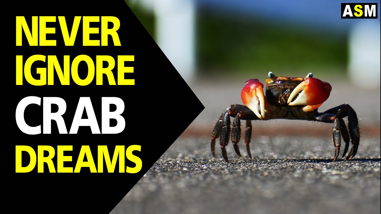 Asking what do crabs symbolize in dreams? Decode the messages your subconscious might be sending.