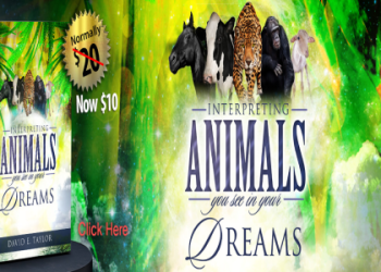 Stink Bug Spiritual Meaning and Symbolism: A Quick Explanation