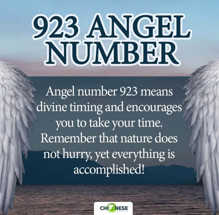 Keep Seeing 923? Learn What This Angel Number Means for Your Future.