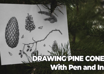 Pine Cone Symbolism: Simple Explanations for Everyone!