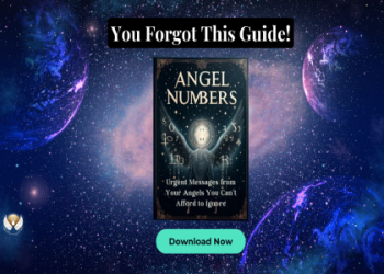 Keep Seeing 1231? Discover the Angel Number 1231 Meaning and its impact.