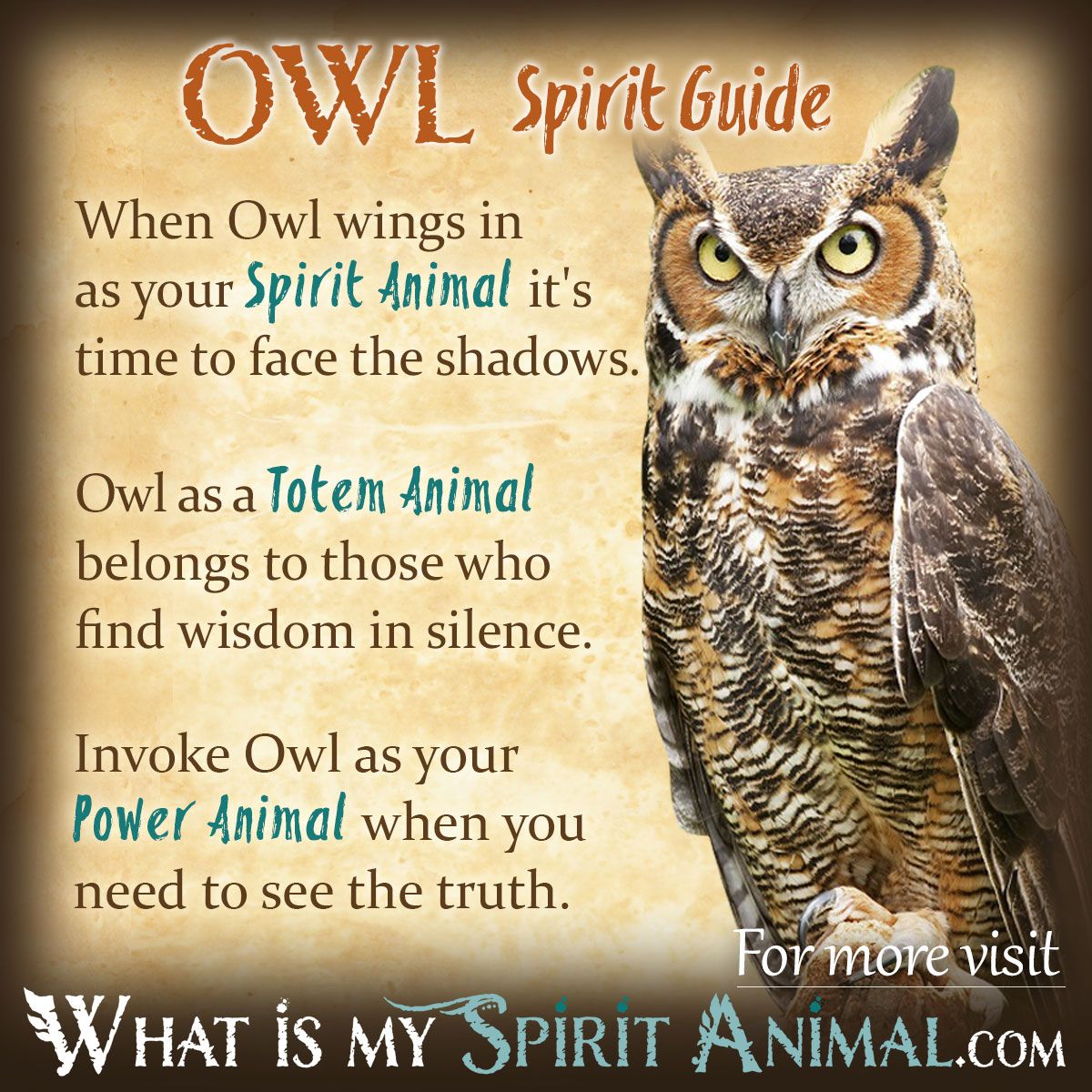 Owl Spirit Guide: Discover Its Meaning and Easy Symbolism