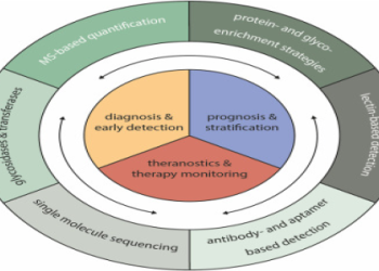 553 Angel Number: Decoding the Message (Easy Explanation)