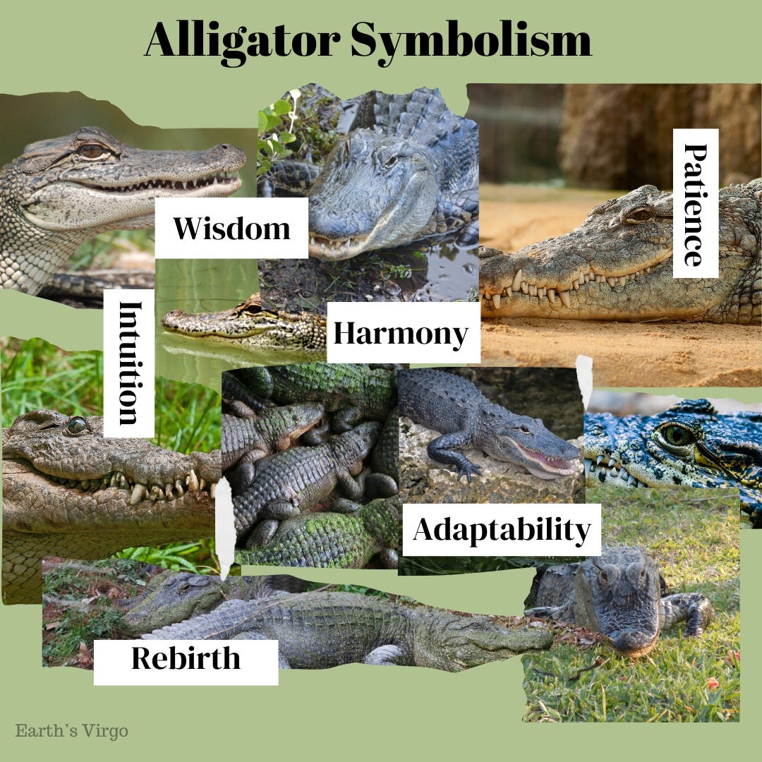 The Spirit of Crocodile Meaning: Adaptability and Ancient Wisdom.