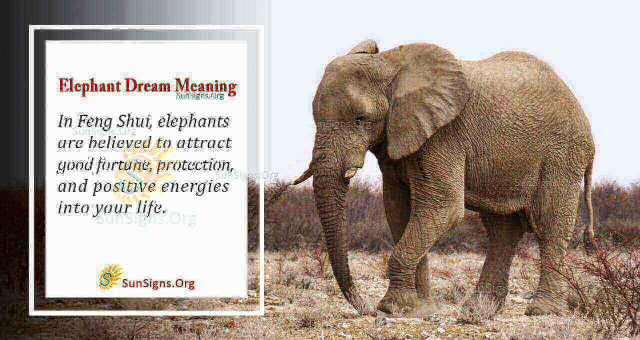 Dreaming of Elephants? Uncover Your Elephant Dream Meaning!