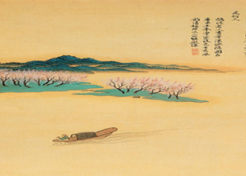 Lobster Spiritual Meaning: What Does It Mean When You See or Dream a Lobster?