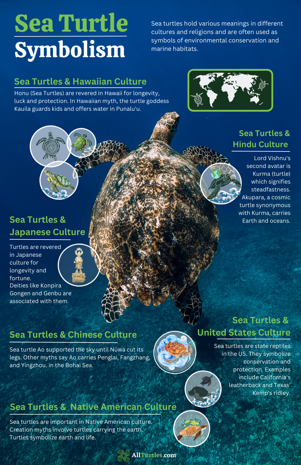 Why do sea turtles represent peace? Uncover their cultural importance.