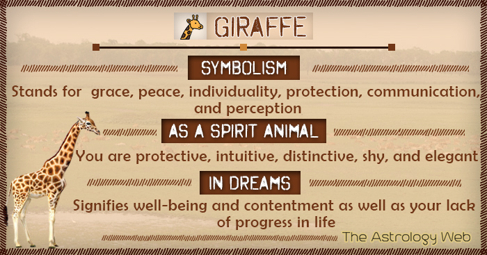 Is the giraffe spirit your special animal totem? Discover the telling signs and important messages it brings.