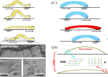 The Ultimate Guide to Worm Symbolism: Types, Meanings, and Significance
