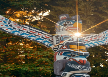 Is the giraffe spirit your special animal totem? Discover the telling signs and important messages it brings.