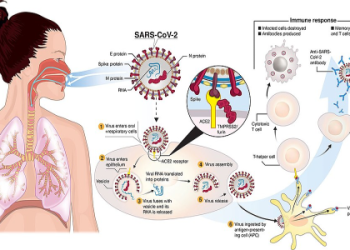 What is 57 37? Get the simple facts fast.