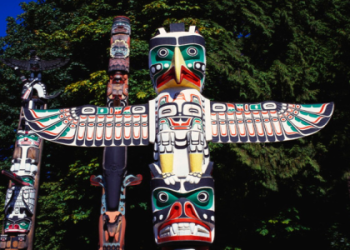 Cougar Spirit Animal Guide: What Does It Mean for Your Life?