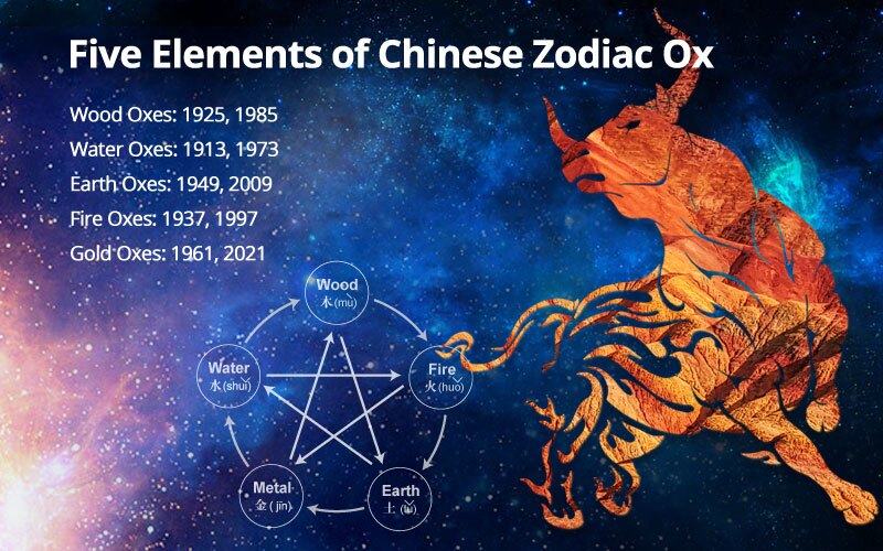 Todays Ox Daily Horoscope: Your Easy-to-Read Star Guide!