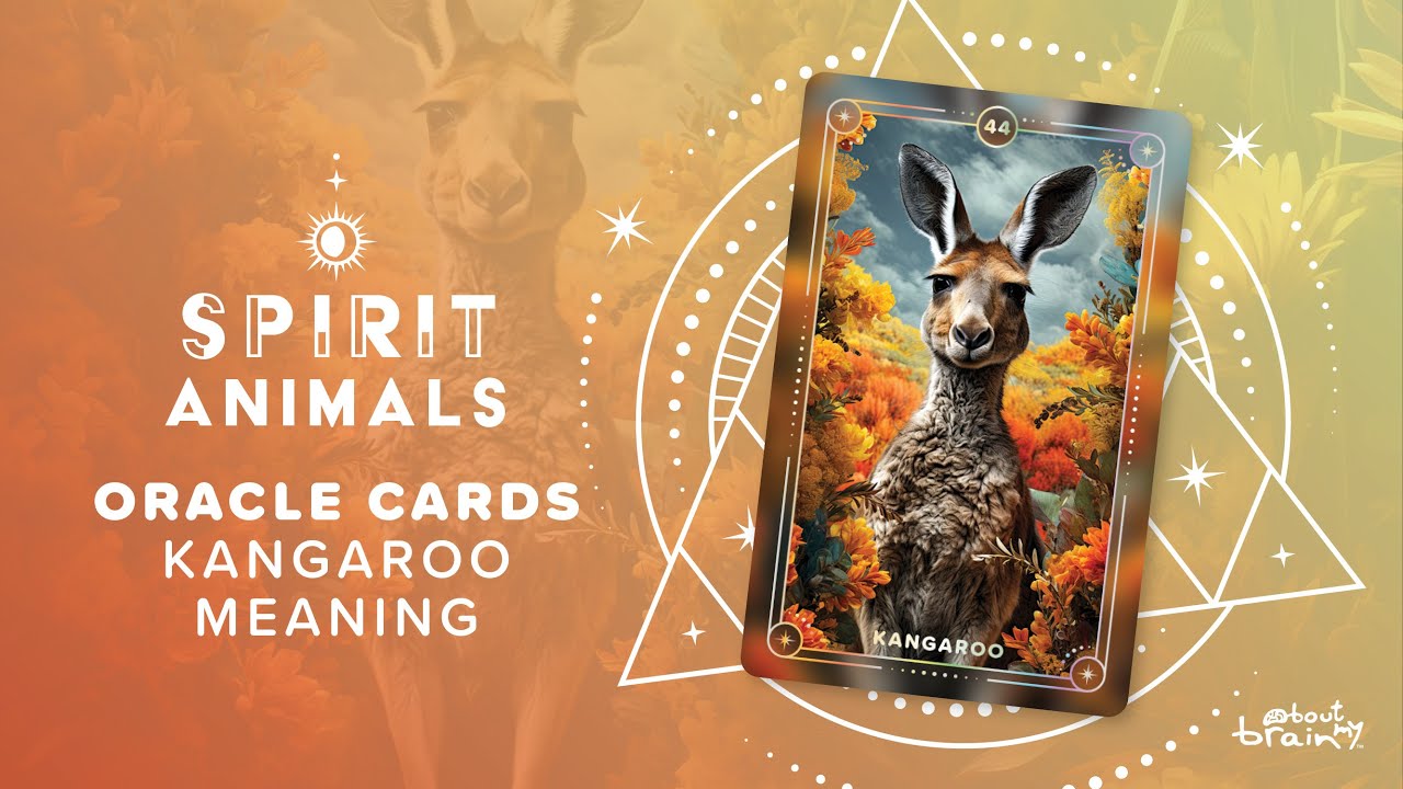 Your Kangaroo Spirit Animal Meaning and Its Powerful Message
