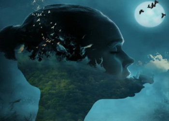 Dream about rabbits: What does it mean? Decode your bunny dreams tonight!