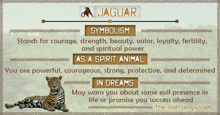 Jaguar Dream Meaning: Is It a Warning or a Good Omen? (Find Out!)
