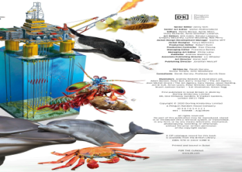 Decode Stingray Meaning Spiritual: Secrets of the Ocean Guide.