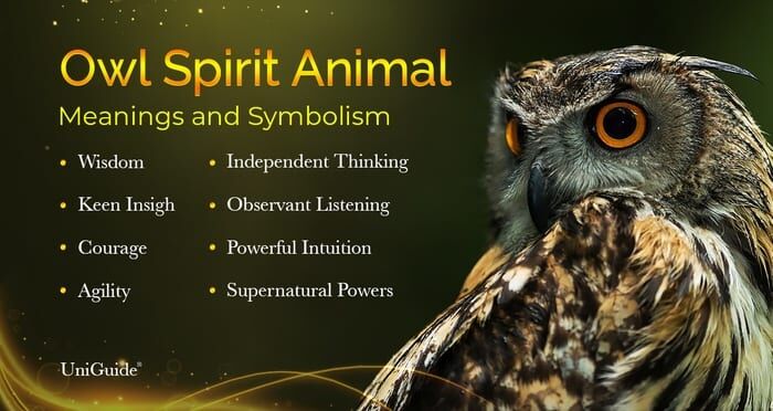 Owl Spirit Guide: Discover Its Meaning and Easy Symbolism