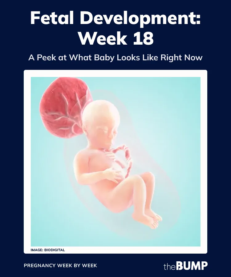 What happens during week 18/52? Find out the key highlights and tips for this specific week.