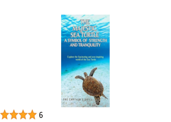 What Is Sea Turtle Spirit? Explore the Magic and Power!