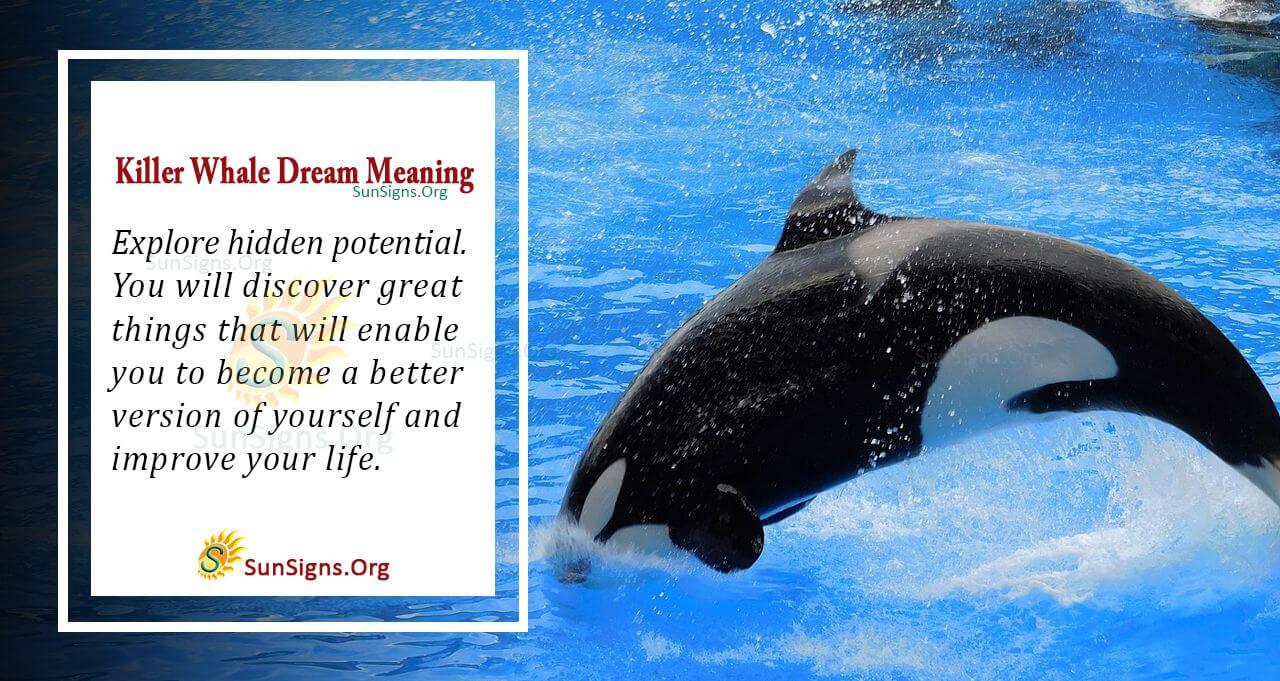 Whats the Meaning When I see Killer Whale in Dream?