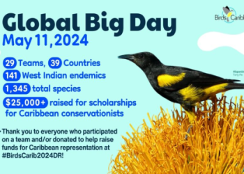 Wasp Encounters: Unlocking the Simple Spiritual Meaning for You.