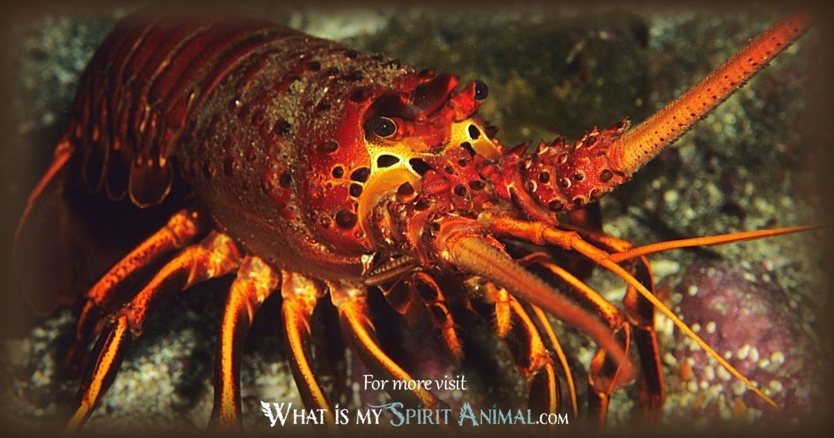 Uncover Lobster Spiritual Meaning: Transformation and Protection.
