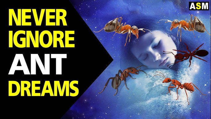 Dreamed about ants: A simple guide to ant dreams.