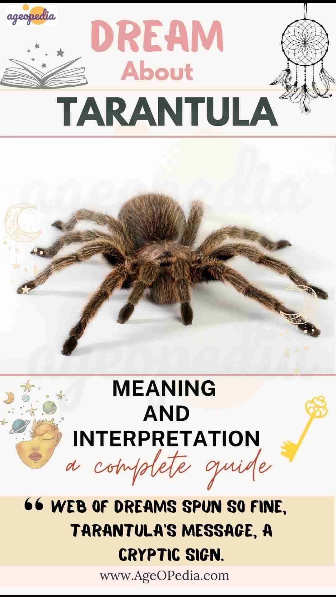 Tarantula Spider in Dreams? Common Interpretations & Symbolism
