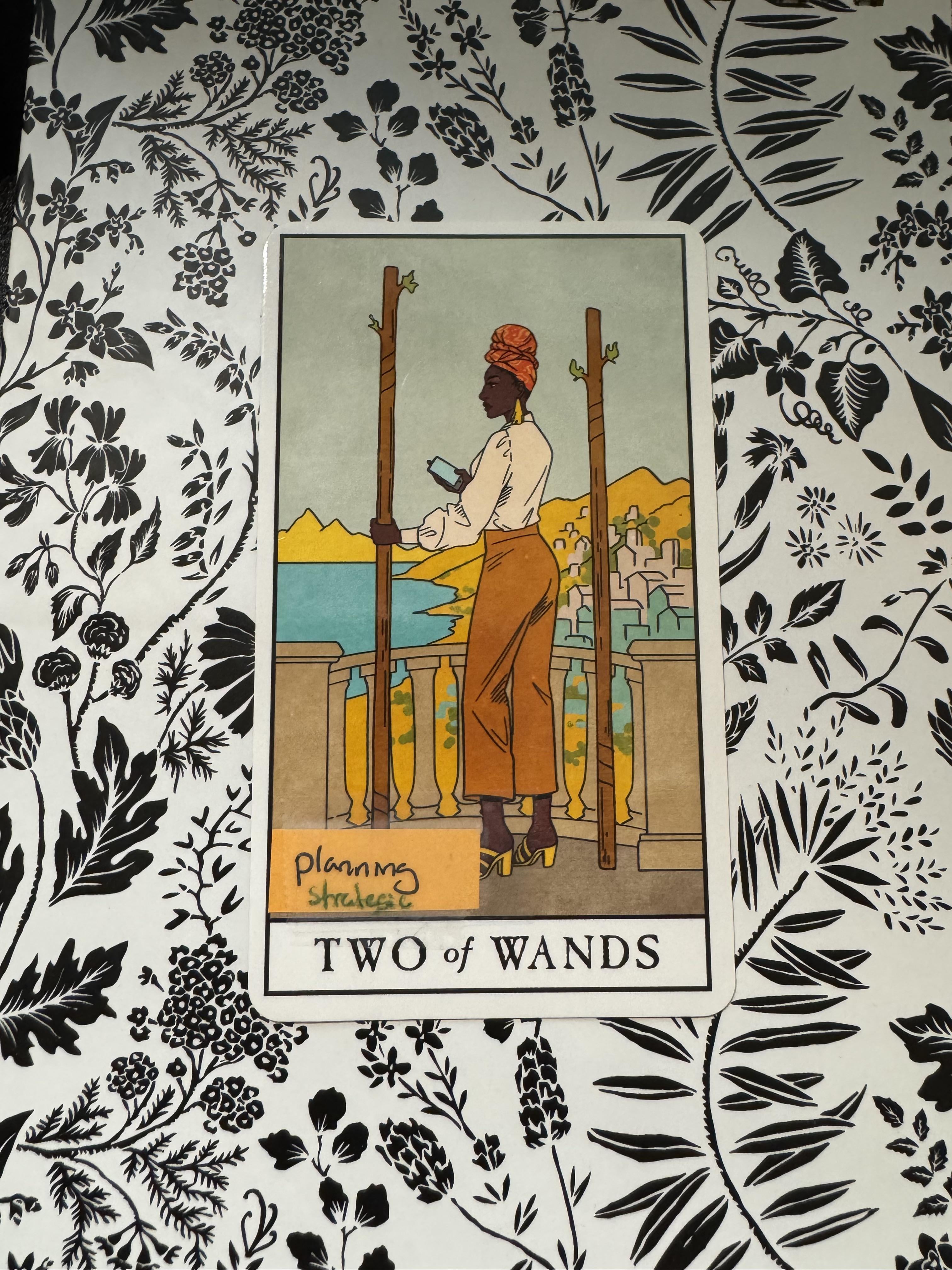 2 of wands love: Planning your future together with this card!