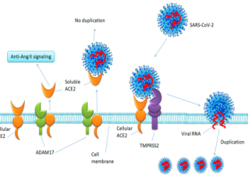 417 Angel Number: Decode Its Message, Unlock its Power.