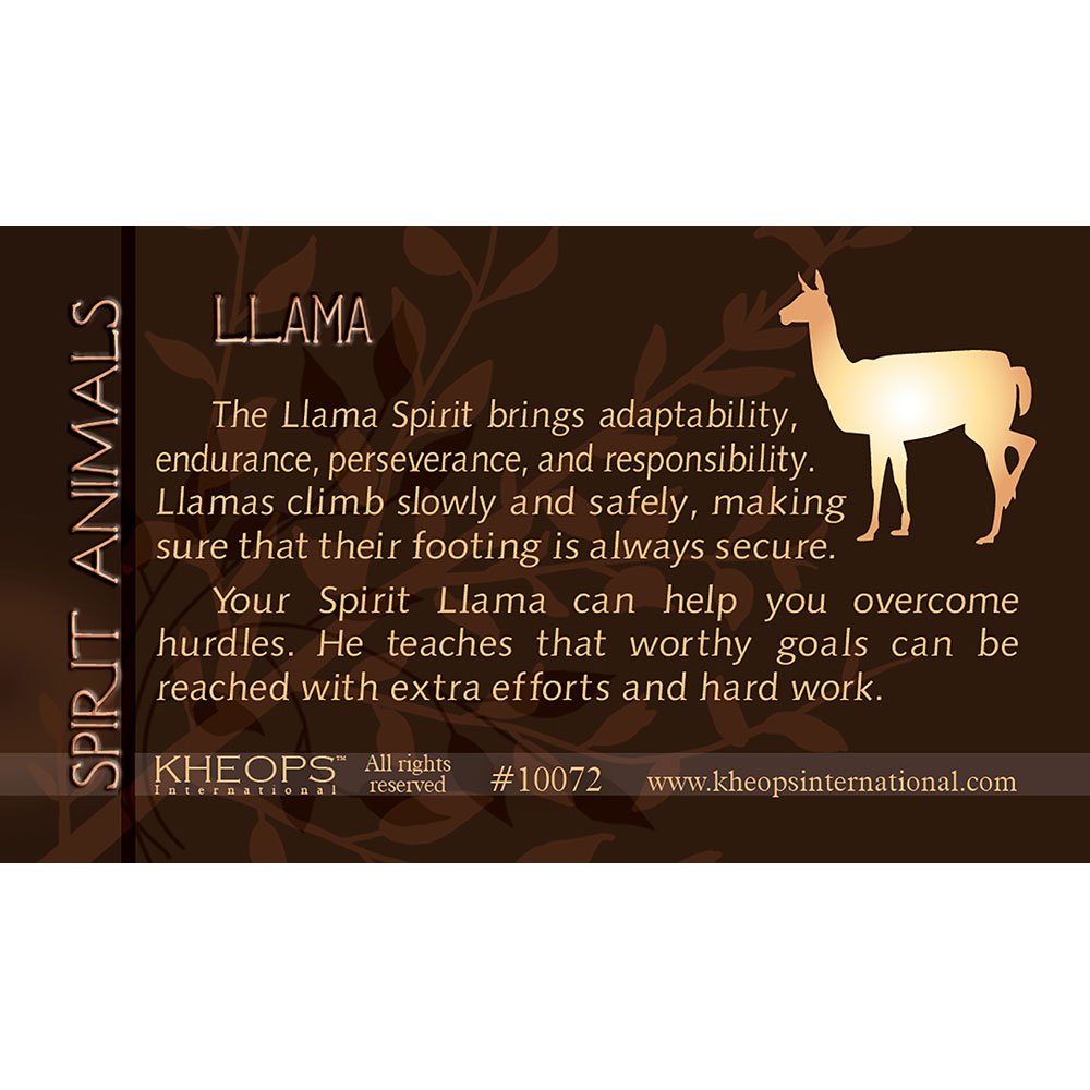What is the llama spirit animal meaning? Discover the unique symbolism and guidance it offers you.