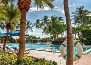 Where can you find item 4343? (Check out these top places to get the best price for 4343)