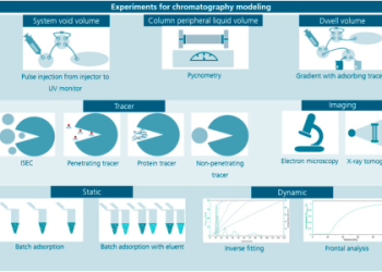 272 Angel Number: Quick Message and Interpretation for You