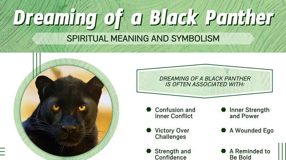 Dreaming of a Black Panther? Uncover the Hidden Meanings & Spiritual Significance!