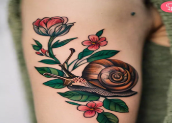 Snail Symbolism and Meaning: discover their secret significance.