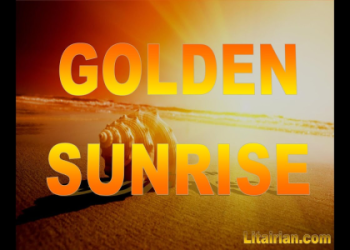 Angel Number 35: What Does It Mean for Your Love Life?