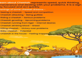 What does the cheetah represent: Explore its traits and message.