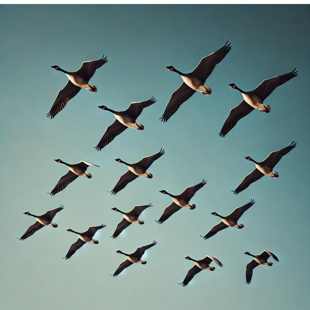 How can the goose totem help guide your life? (Explore its lessons of community)