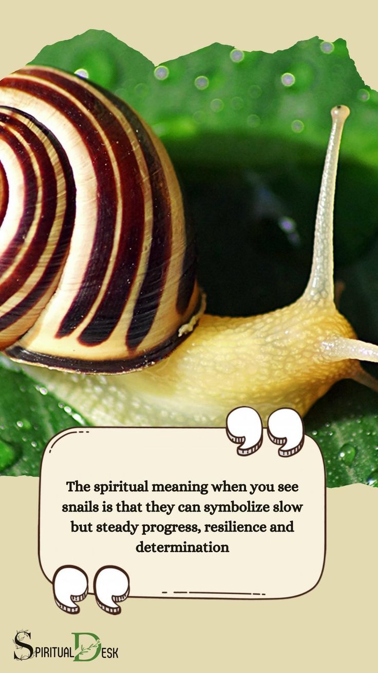Meaning of Snails Spiritually: Patience and Slow Progress.