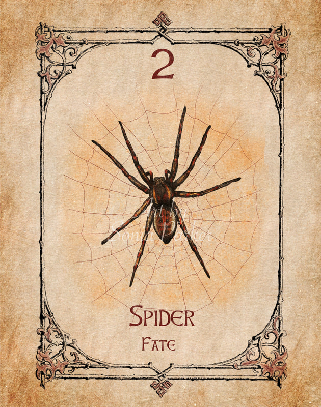 Spider Totem Animal: Discover Its Power and Hidden Messages for You!