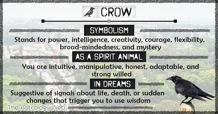 Crow Dream Meaning: What Does It Mean When You Dream of Crows? Simple Explanations!
