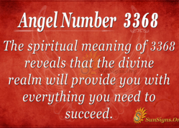 The Meaning of 336 : Decoding Your Angel Number Message