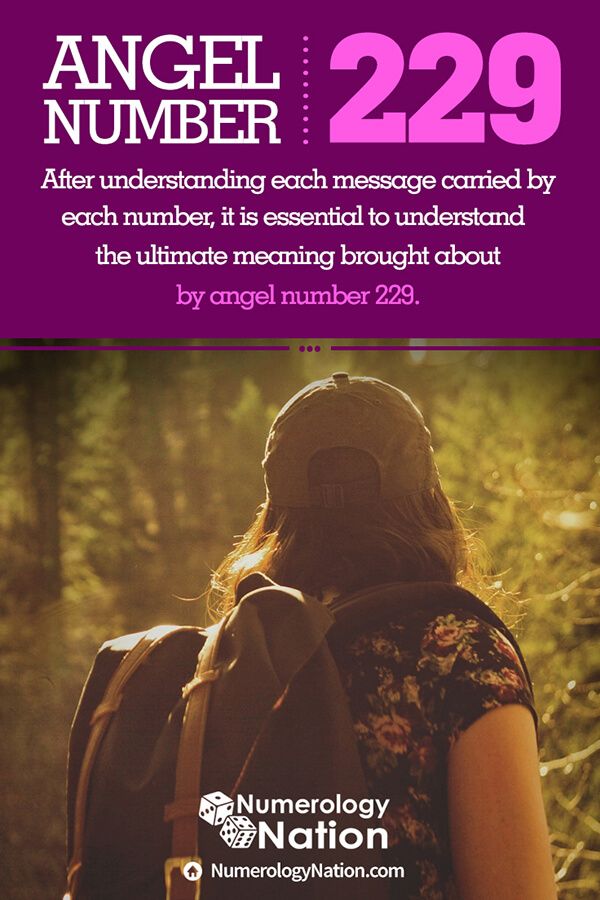 Get the Message: Understand 229 Angel Number Easily!