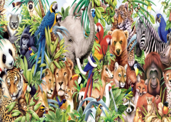 Groundhog Spirit Animal: What Does It Mean for Your Life?