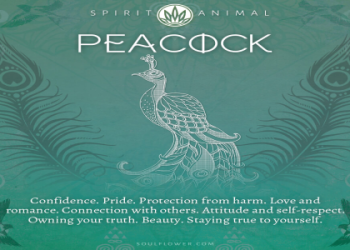 Is the Owl Your Spirit Animal? Find out Here Easy!