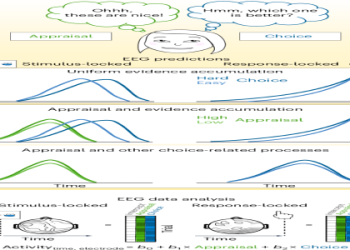 43 34: What Does It Mean? (Easy-to-Understand Guide)